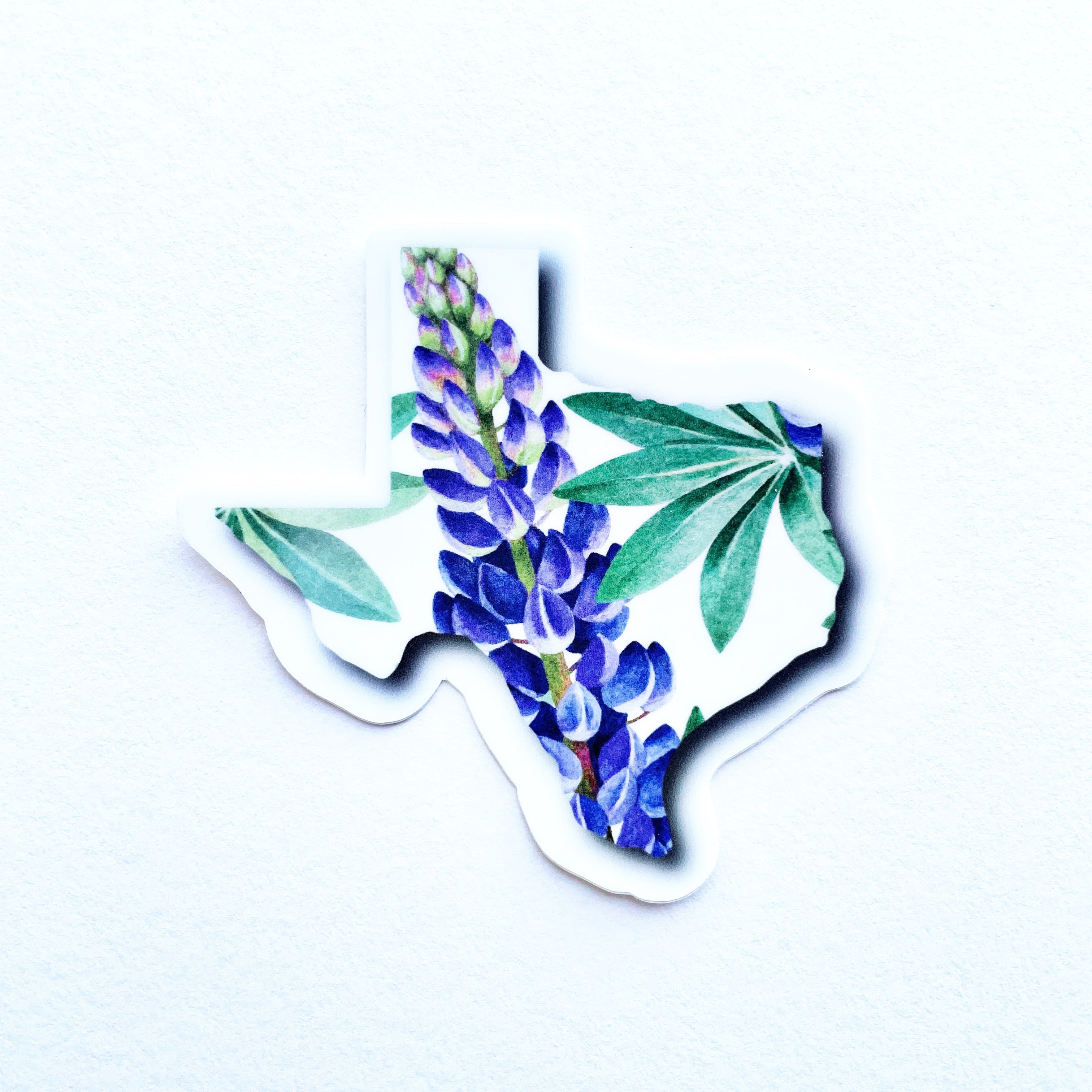 Bluebonnet Texas Sticker