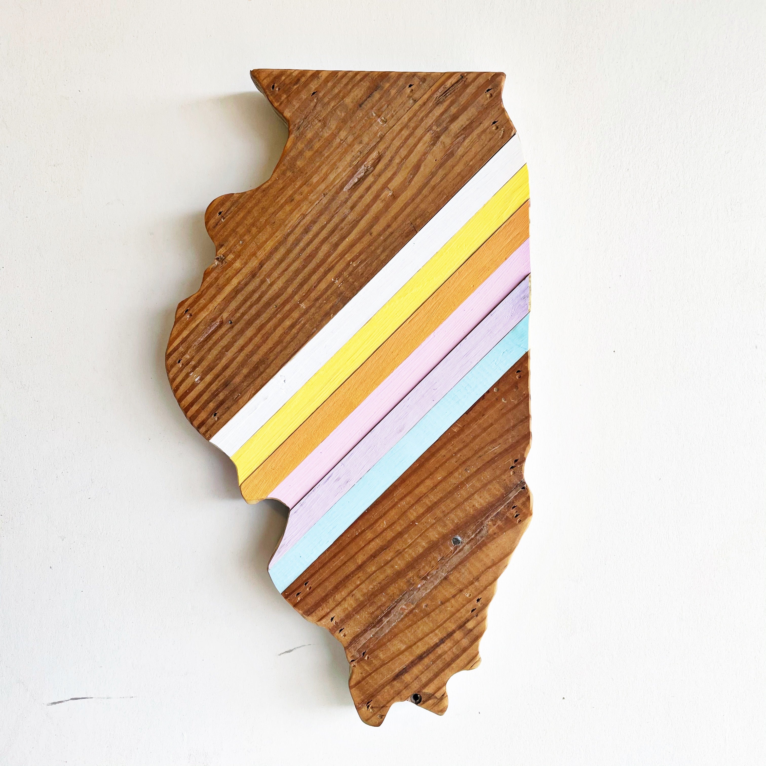 Retro Illinois Wall Hanging 15 in | One of a Kind