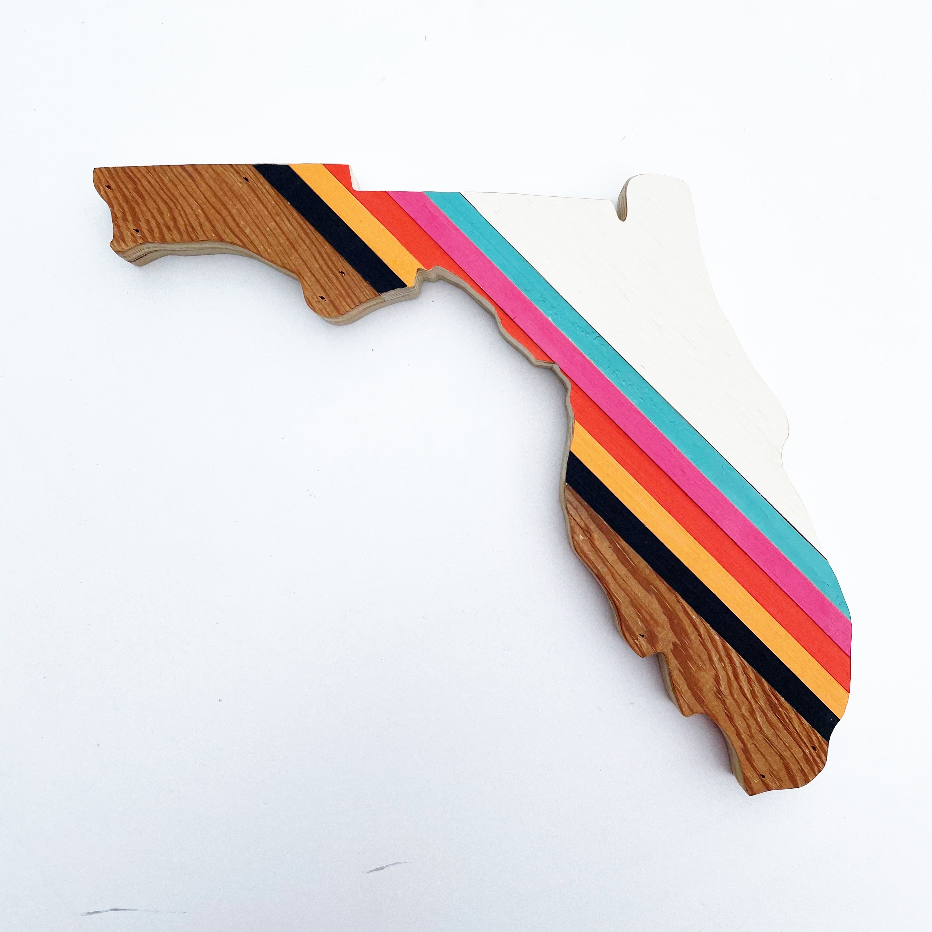 Retro Florida Wall Hanging 15 in | One of a Kind